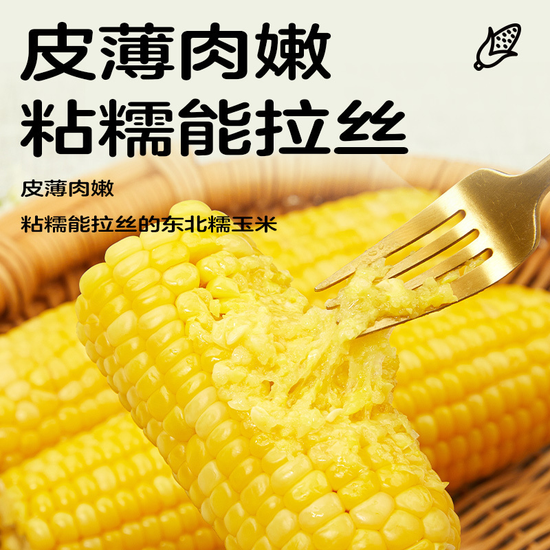 十月稻田黄糯玉米1.76kg[220g*8根]东北玉米棒甜糯低脂新鲜真空装早餐苞米3.52斤高清大图