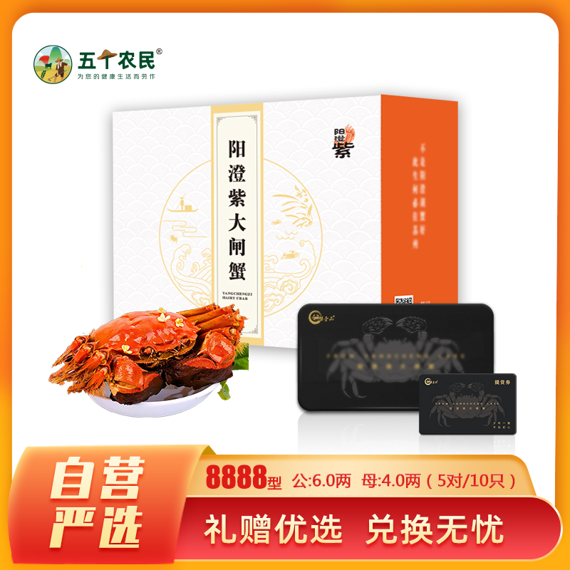 【礼券】阳澄紫牌 苏州精品大闸蟹礼券8888型 公蟹6.0两/只 母蟹4.0两/只 5对10只礼盒 中秋礼品卡 海鲜水产