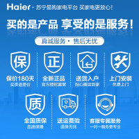 （Haier）海尔全自动滚筒洗衣机 10公斤大容量 斐雪派克电机 直驱变频 节能静音 高温筒自洁 一级能效 家用