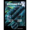 沙滩裤男速干可下水男士泳裤宽松泡温泉五分游泳裤海边度假情侣