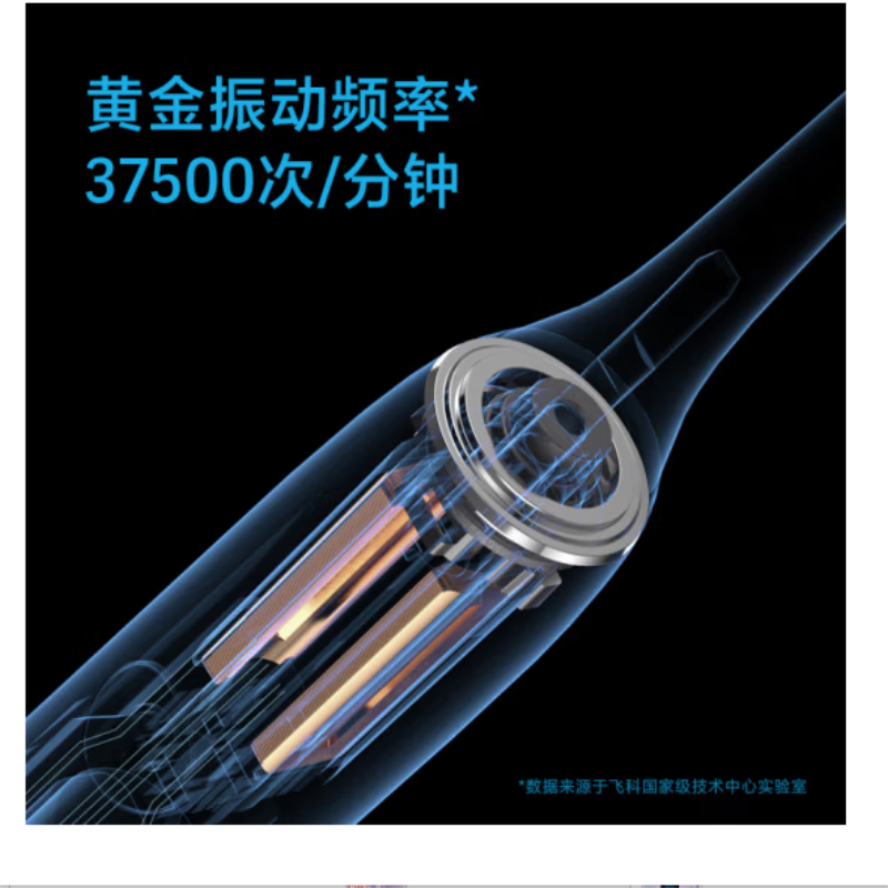 飞科(FLYCO)电动牙刷FT7105(颜色随机发)高清大图