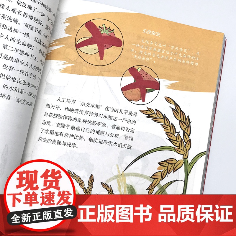 [央视网]大国脊梁漫画版 书写科学记故事弘扬科学家精神 钱学森孙家栋袁隆平屠呦呦钟南山王选南仁东李保国 名人传记爱国主义高清大图