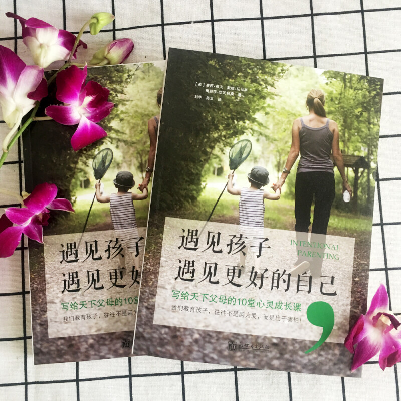 [正版]遇见孩子,遇见更好的自己亲子关系家庭教育家教育儿早教0-12岁给孩子一个好性格孩子是个哲学家情商教育书籍 正面管高清大图