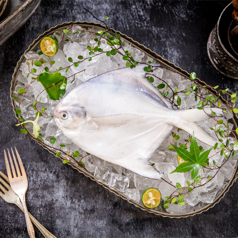 坤兴 东海野生鲳鱼5袋 300g*5袋 海产