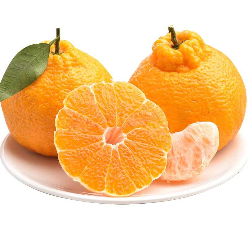 大唐果园云南丑柑 1.5kg