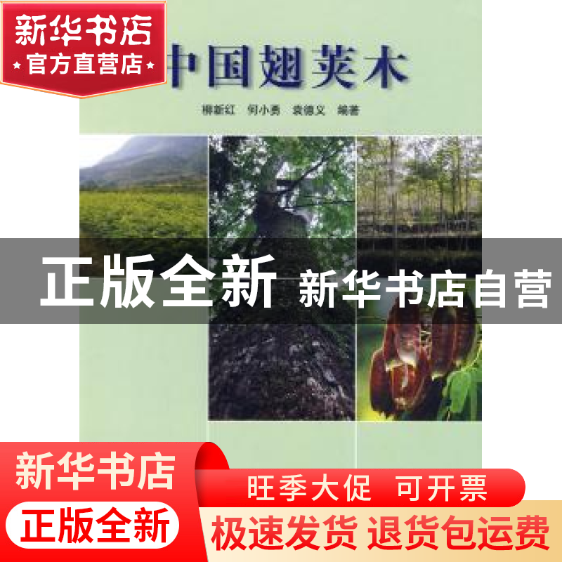 正版 中国翅荚木 柳新红 中国林业出版社 9787503856877 书籍高清大图