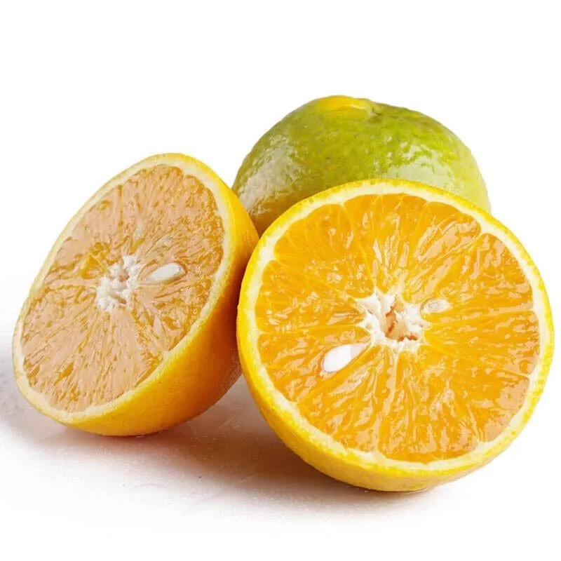 [鲜贝达生鲜]湖北秭归夏橙3斤中果净重 果径60-68mm 新鲜柑橘橙子脐橙