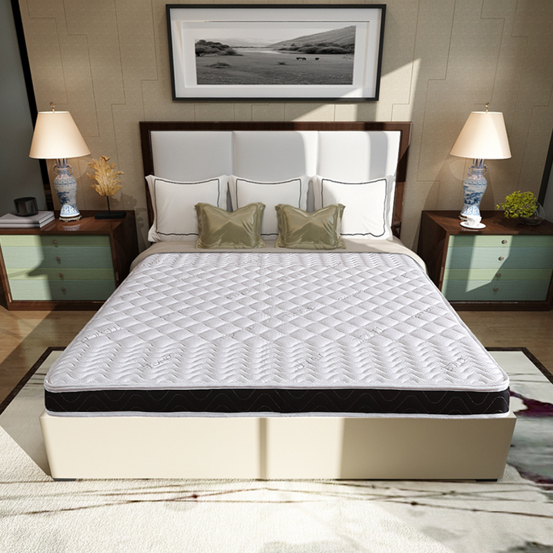 臻远 ZY3120906 棕垫3E椰棕床垫 1000*2000*100高清大图