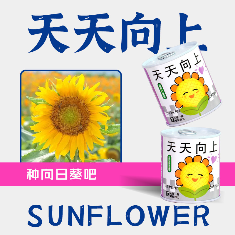 小窝厘 易拉罐种植diy小盆栽桌面绿植栽培罐头植物网红祝福盆栽种子 款式随机(起订量:20盆)*高清大图