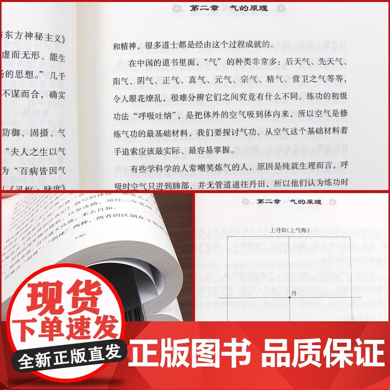 道家真气 气功修炼次第 中国台湾 湛若水 海南出版社 正版书籍 梅花门心得 系统传承名师实证气功初学者最好的修炼指南高清大图