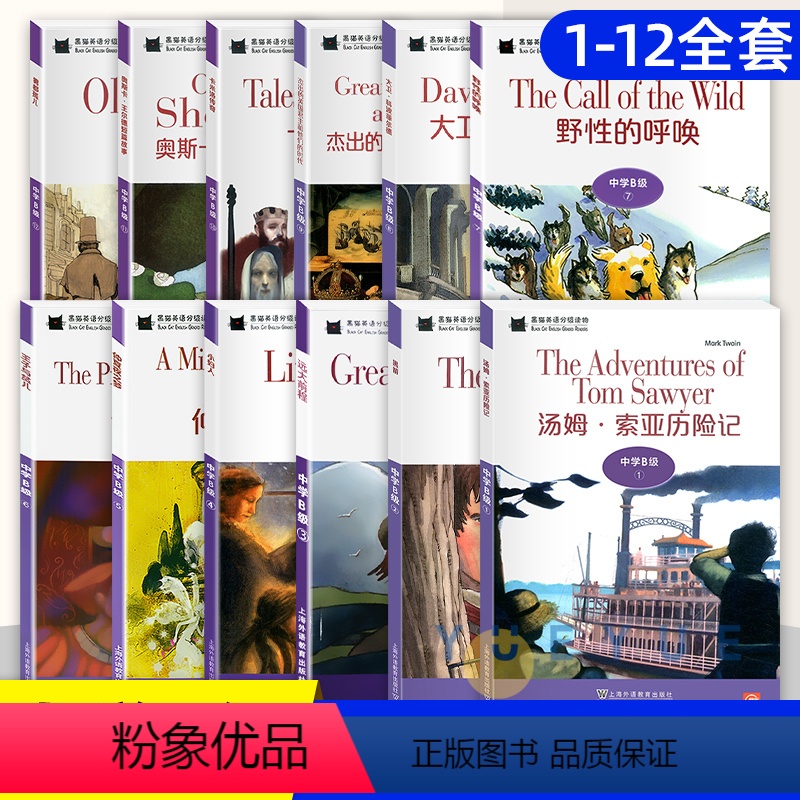 初二黑猫英语中学B级1-12册 八年级/初中二年级 [正版]黑猫英语分级阅读初二B级2黑箭文学名著小说故事集原版八年级英