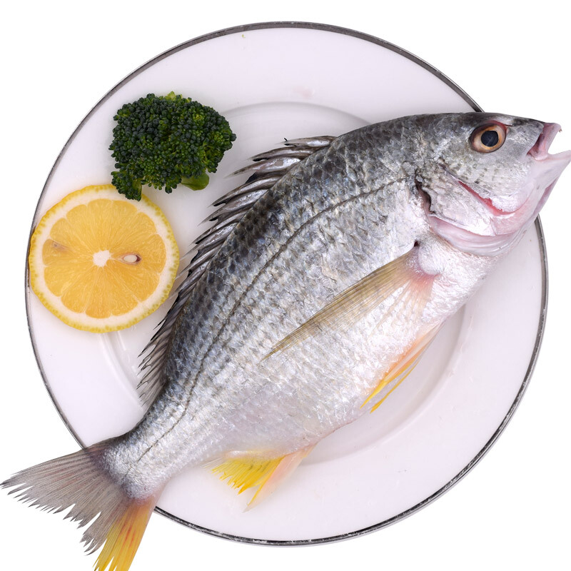 四海生鲜东山岛渔船现捕龙利鱼舌头鱼牛舌鱼新鲜海鲜水产500g视频