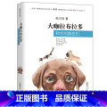 大咖拉布拉多和它的朋友们 【正版】爸爸的菜谱 聚焦全面建成小康社会重点选题；书写父爱力量下的少年成长,城市变迁中一段父子