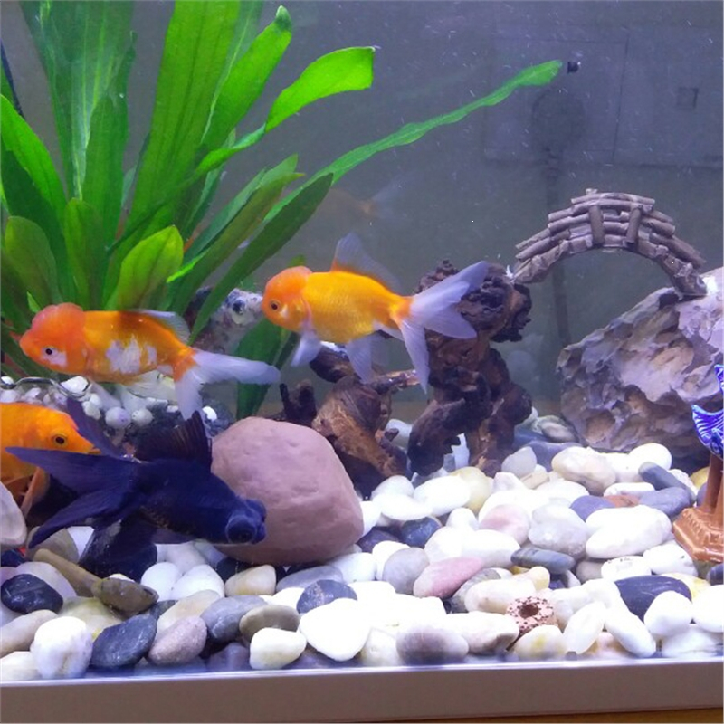 鹅卵石小石头石子雨花石原石庭院鱼缸花盆造景五彩石大鹅软石