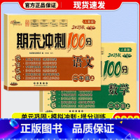 [单本]数学 人教版 二年级下 [正版]2023新版 期末冲刺100分二年级上册下册试卷语文数学全套人教版北师版 小学2