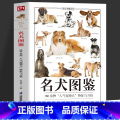 【正版】名犬图鉴 宠物犬特征与习性大全 宠物犬科普知识百科全书 宠物狗喂养常识饮食护理 爱犬人士应用手册 家庭亲名理百