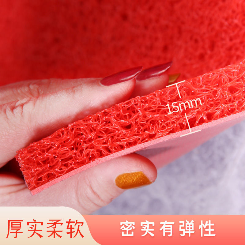 丝圈地垫家地毯垫塑料防水防滑垫子可裁剪脚垫高清大图
