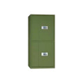 乙壬军绿色保密柜电子密码文件保险柜国保指纹锁分体资料档案矮柜通双节保密柜（电子锁）