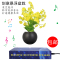 磁悬浮地球仪蓝牙音响展示台家居装饰办公室创意盆栽生日摆件
