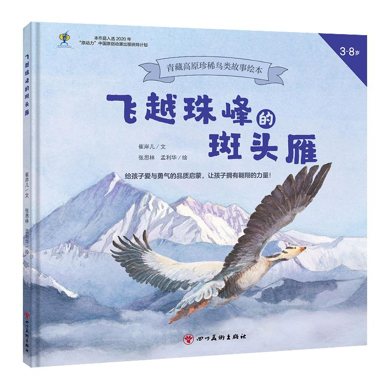 音像飞越珠峰的斑头雁崔岸儿