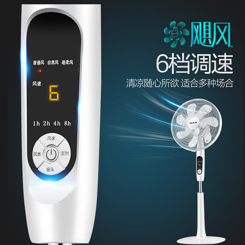 先锋(SINGFUN)双层12扇叶电风扇FS40-16ER大风量落地扇立式风扇家用高清大图