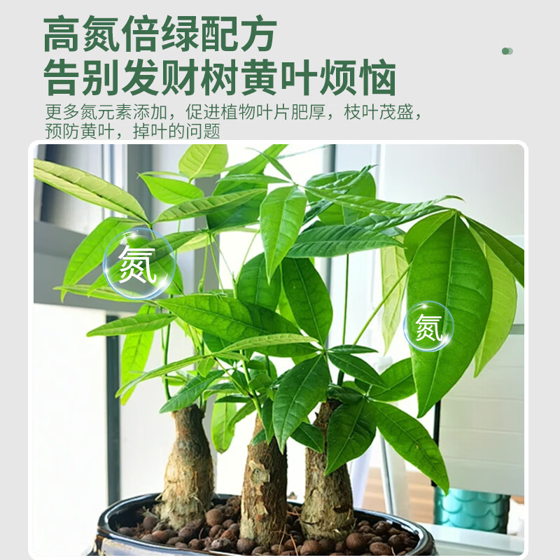 Zhongyzn 尚洋发财树专用植物营养液500mL花卉盆栽发黄掉叶水培绿植有机花肥料高清大图