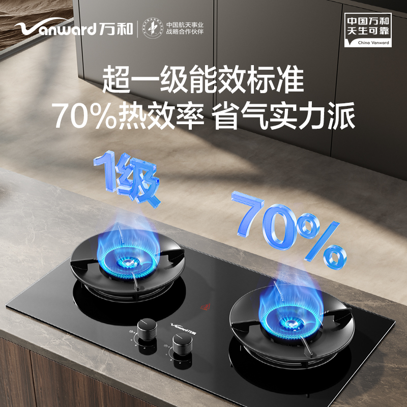 万和Vanward JZY-Y3L13液化气二级能效双眼全进风燃气灶直燃火电子点火安全熄保高清大图