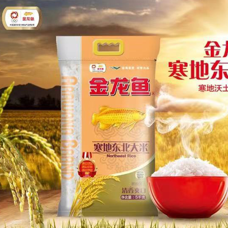金龙鱼寒地东北大米5kg+橄榄油4L组合装
