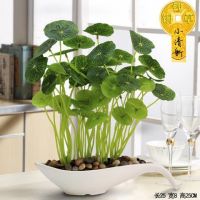 仿真绿植铜钱草办公室仿真绿色植物客厅室内摆件装饰花瓶盆栽假花