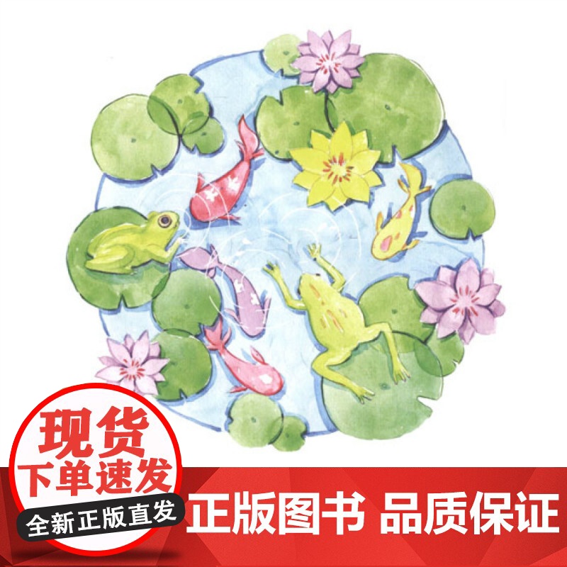 花瓣儿鱼自然篇 金波四季童话春天卷7-8-9--10岁小学生一年级二年级三年级非注音版爱的烘培屋金波名家系列故事寒暑假课高清大图