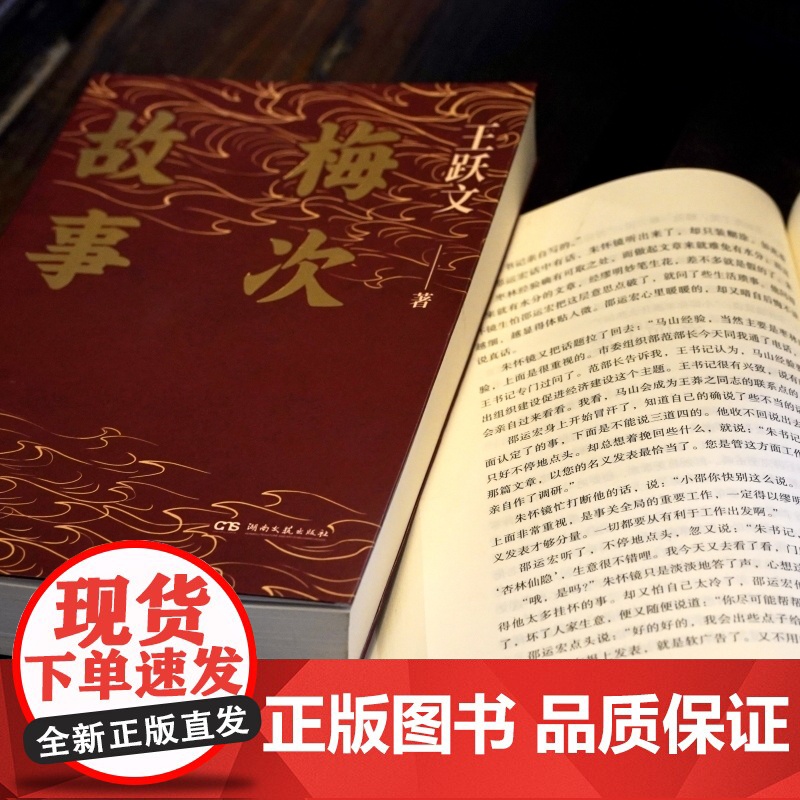 梅次故事(写给正在寻找出路年轻人的自救之书!) 王跃文 湖南文艺出版社 正版书籍高清大图