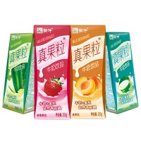 包邮 真果粒缤纷礼盒装250g*24包整箱 牛奶饮品