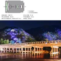 索尼(SONY) SEL18200LE 3.5-6.3 OSS 微单中远摄变焦镜头 索尼卡口62mm 无包装