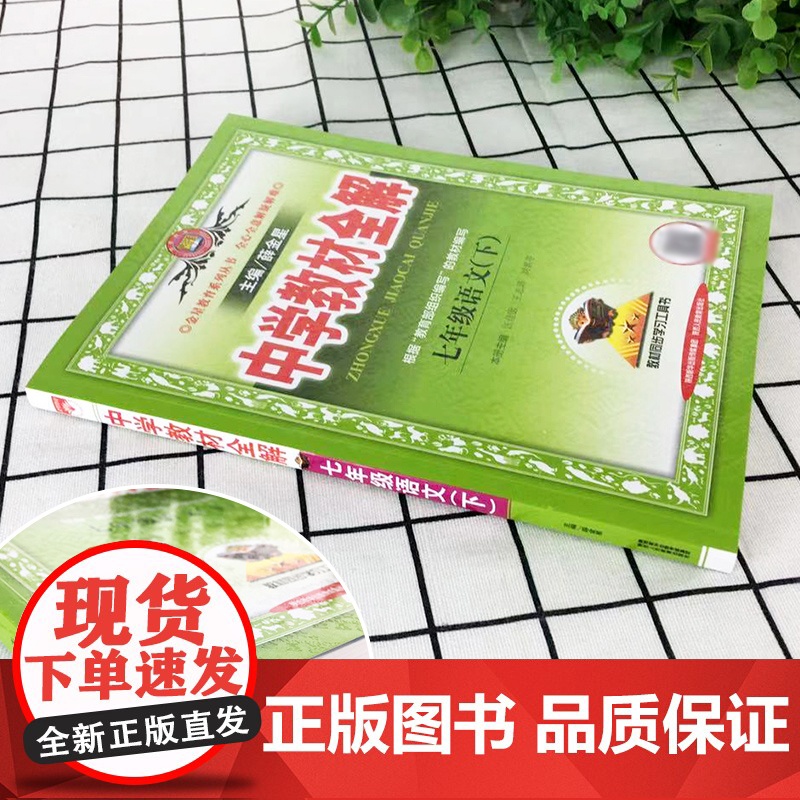2025春中学教材全解七年级下册全套语文英语数学历史地理生物政治人教外研北师上册薛金星初一下课本同步新教材完全解读教辅资高清大图
