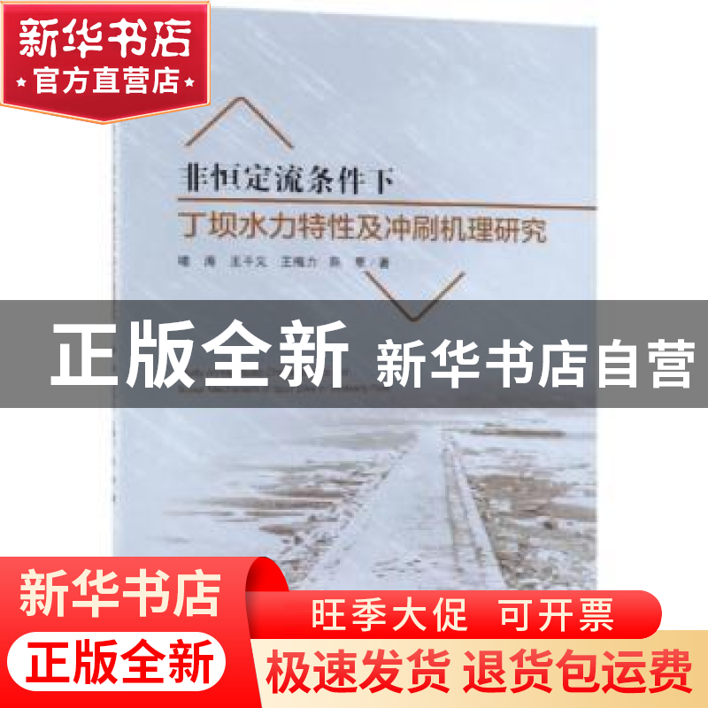 正版 非恒定流条件下丁坝水力特性及冲刷机理研究 喻涛【等】著 科