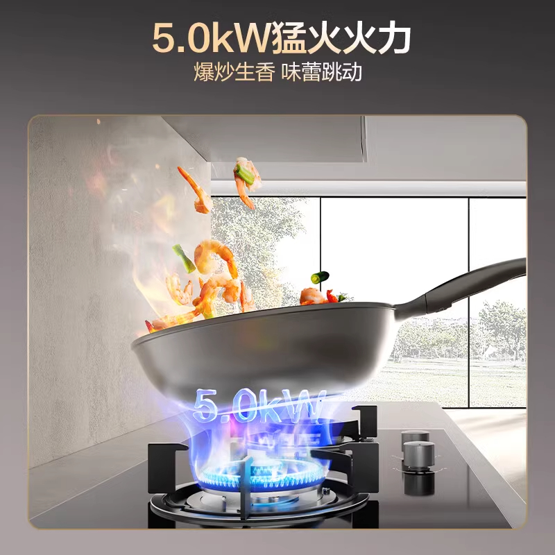 名气燃气灶JZY-A6102B高清大图