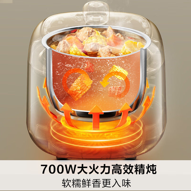 九阳(Joyoung)30NS1 电压力锅3L 精致小容量电压力锅