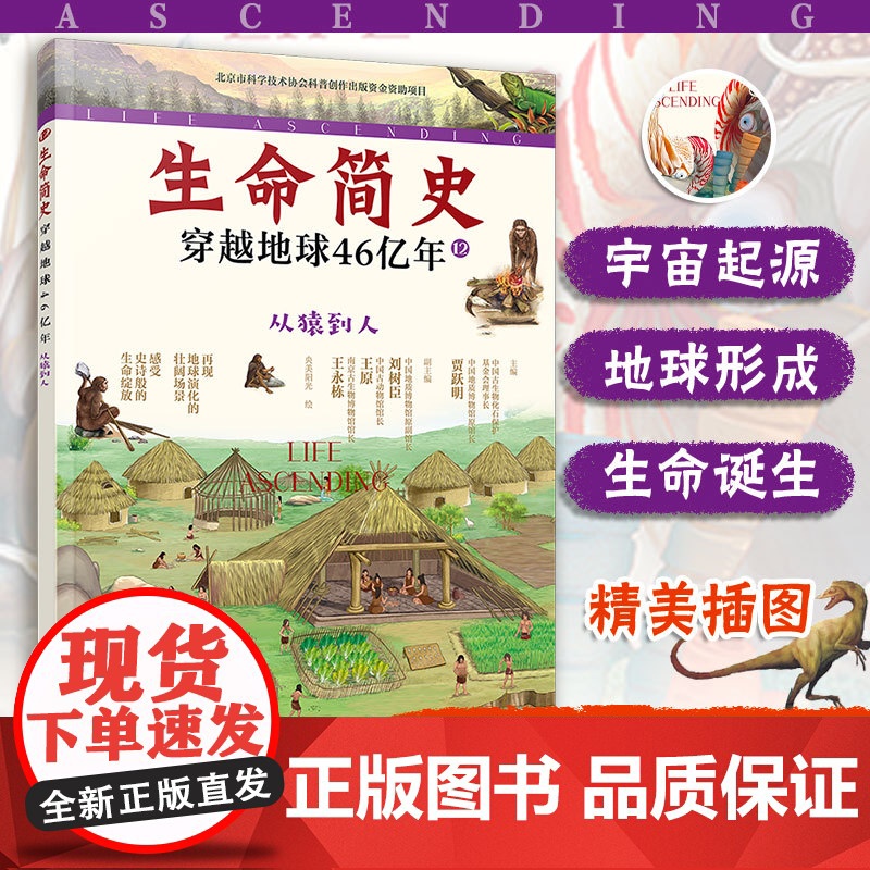生命简史 穿越地球46亿年 从猿到人 6-12-15岁儿童中小学生青少年科普读物 宇宙起源地球形成生命诞生史前世界探索图高清大图