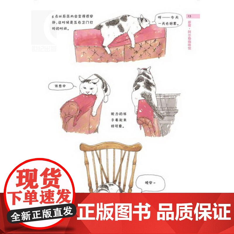 小店里的招牌猫 [日]一志敦子 译者/黄文娟 全彩水彩画美绘本 全世界猫迷五星 养猫咪 正版图书籍 上海译文 世纪出版高清大图