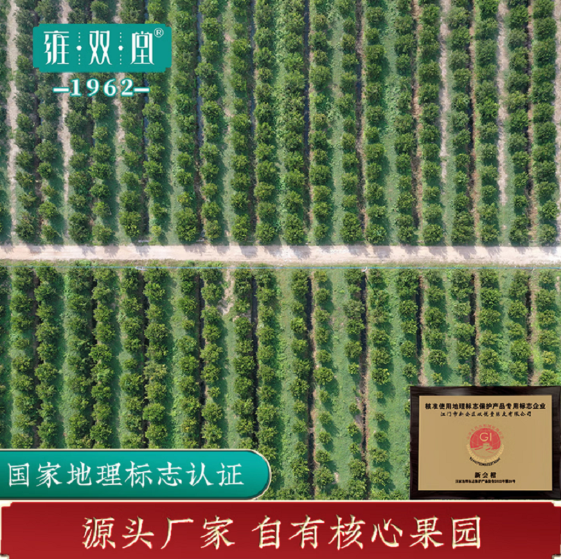 雍双堂 正宗干仓新会陈皮8年国潮玻璃罐广东特产商务礼150g CPR-8003高清大图