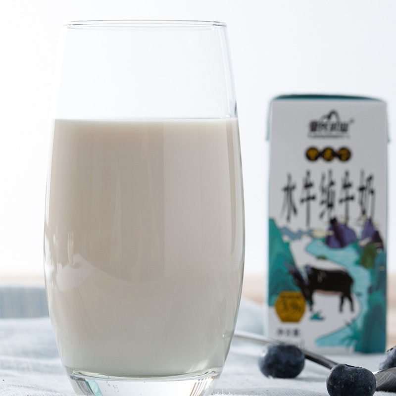皇氏乳业甲天下水牛纯牛奶200ml*10盒孕妇儿童补钙牛奶搭配元气酸奶原味205g*12盒整箱儿童学生早餐奶组合