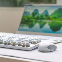雷蛇(Razer）刺鳞树蝰水银版 蓝牙无线鼠标 2.4G 7200 DPI 光学传感器 游戏级精准度 5键编程