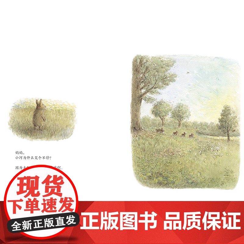 妈妈为什么硬壳精装图画书蒲蒲兰绘本谷川俊太郎作品一本诗的绘本关于爱关于希望关于勇气关于未来4岁5岁6岁7岁8岁儿童阅读正高清大图