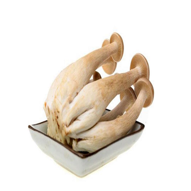 绿帝鹿茸菇100g袋
