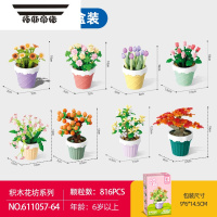 拓斯帝诺[新品]多肉盆栽摆件儿童益智拼装玩具男孩女孩礼物