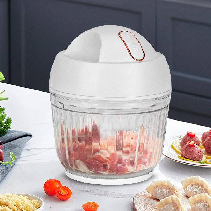 益多 绞肉机搅拌机小型迷你家用多功能家用全自动多功能电动小型料理机搅拌机碎肉绞馅辅食机 XF-01
