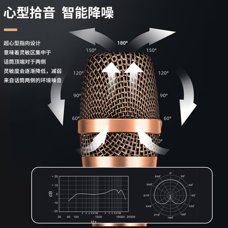 先科 SAST OK-20有线麦克风话筒动圈麦克风家庭KTV演唱卡拉OK会议演讲专业有线话筒高清大图