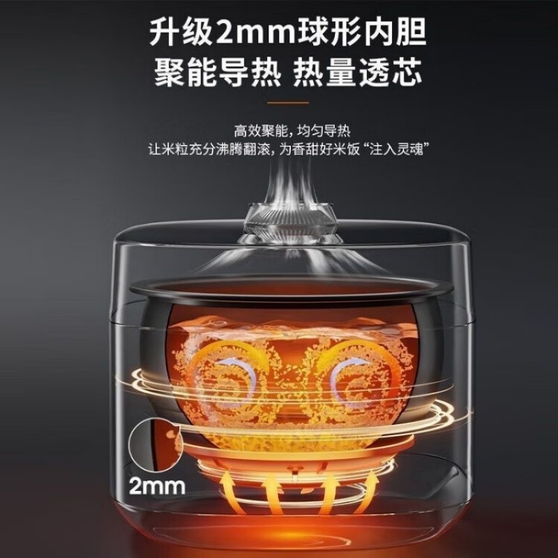 九阳(Joyoung)电饭煲 5L F50FY-F861高清大图