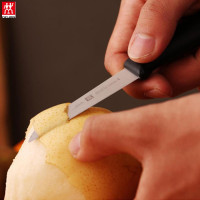 双立人(ZWILLING) TWIN Point 刀具小套装 ZW-K19 刀具小套装蔬果刀 人体工学手柄 握感舒适