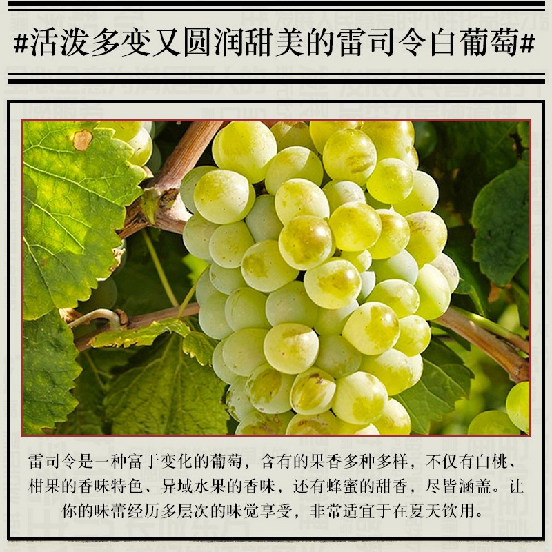 长城 东方系列 雷司令13%vol半甜白葡萄酒750ml单瓶装 甜酒 长城葡萄酒 红酒